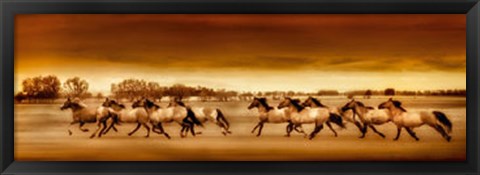 Framed Argentine Horses Print