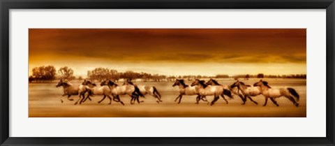 Framed Argentine Horses Print