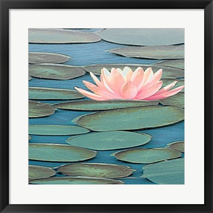 Framed Lily Pool II Print