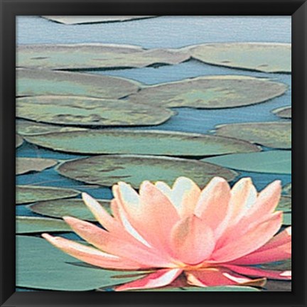 Framed Lily Pool IV Print