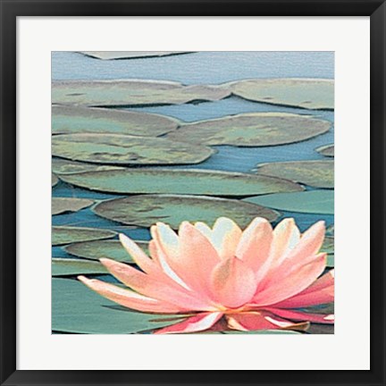 Framed Lily Pool IV Print