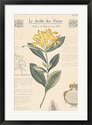 Framed Le Jardin des Fleurs I Print