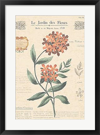 Framed Le Jardin des Fleurs II Print