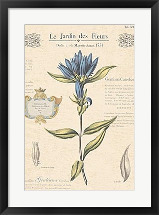 Framed Le Jardin des Fleurs III Print