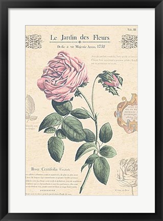 Framed Le Jardin des Fleurs IV Print