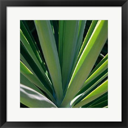 Framed Botanicals VIII Print