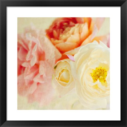 Framed Bouquet III Print