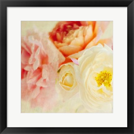 Framed Bouquet III Print