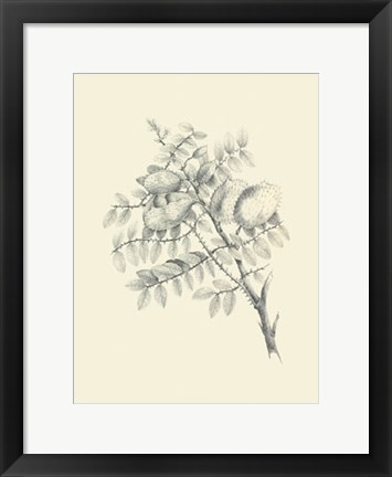 Framed Chicken Stone Tree Print