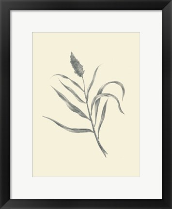 Framed Guinea Corn Print