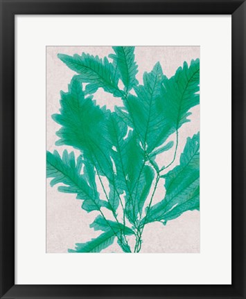 Framed Emerald Sea III Print