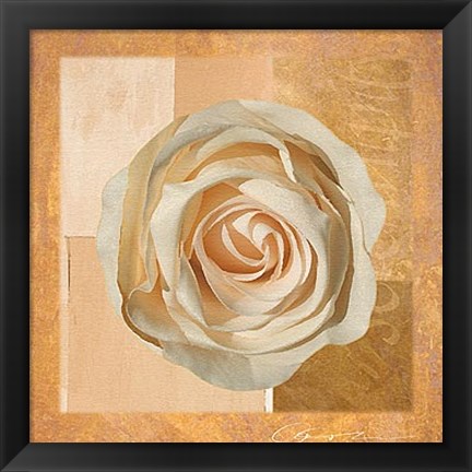 Framed Warm Rose I Print