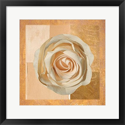 Framed Warm Rose I Print