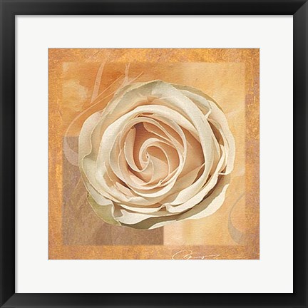 Framed Warm Rose II Print