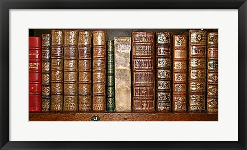 Framed Biblioteca I Print