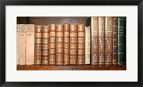 Framed Biblioteca II Print