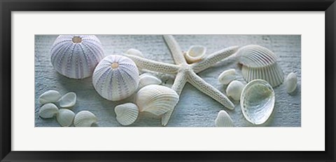 Framed Driftwood Shells I Print