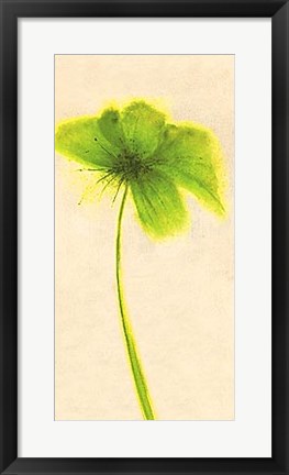 Framed Floral Burst VII Print