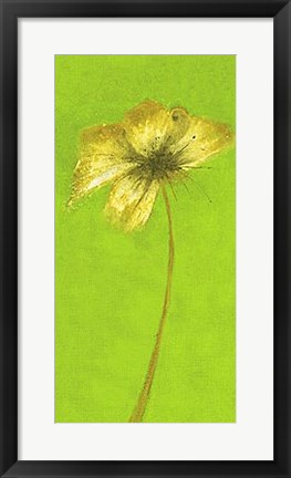 Framed Floral Burst VIII Print