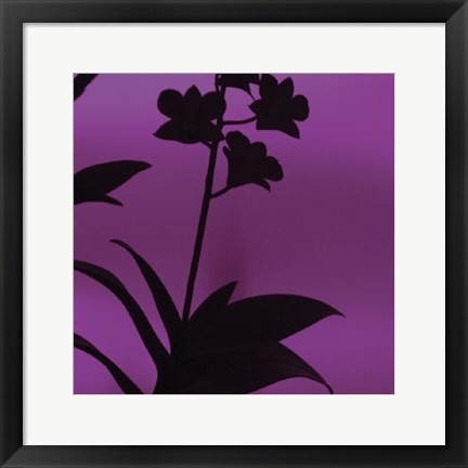 Framed Exotica III Print