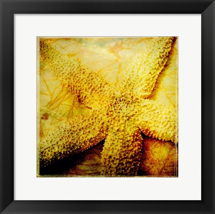 Framed At the Seashore II Print