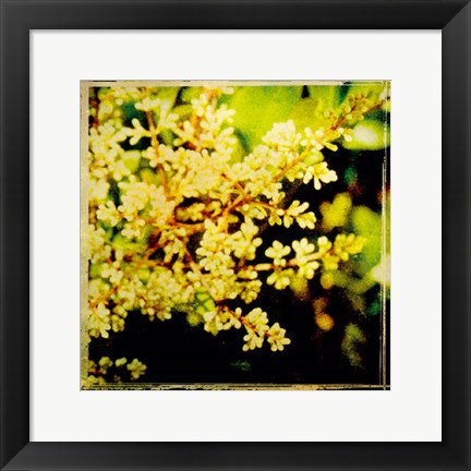 Framed Vintage Garden V Print