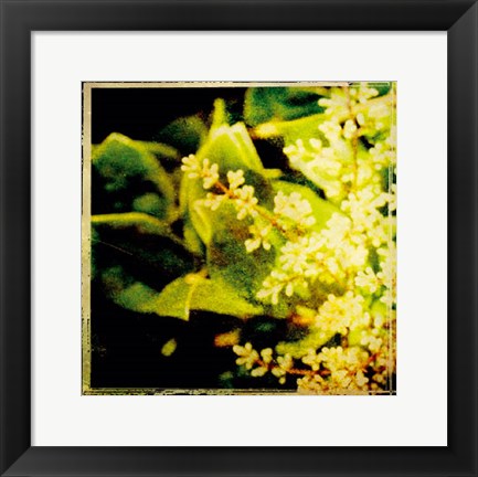 Framed Vintage Garden VI Print