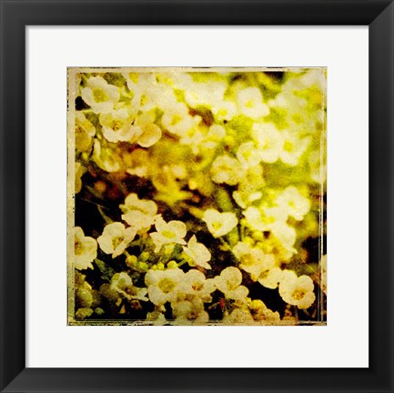 Framed Vintage Garden VII Print