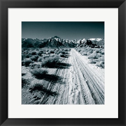 Framed Lone Pine V Print