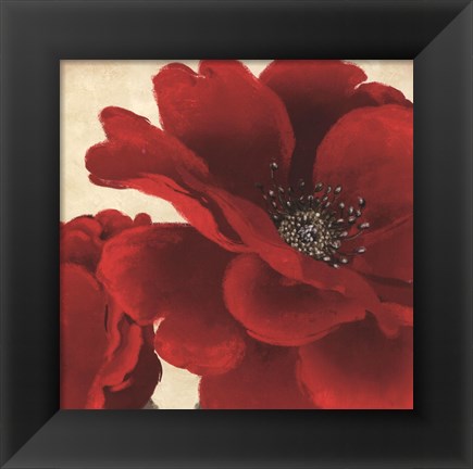 Framed Red Peony I Print