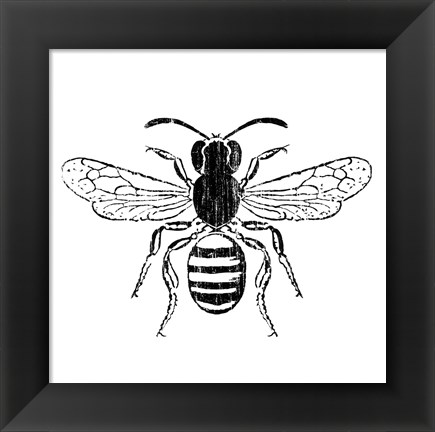 Framed Bee Print