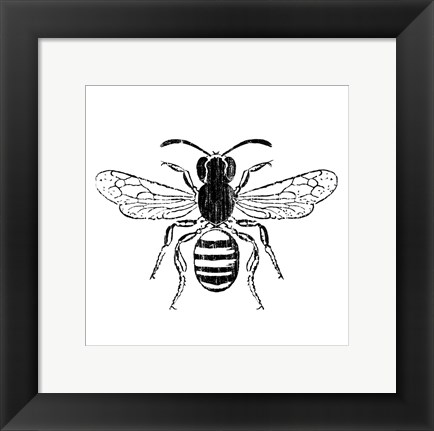 Framed Bee Print