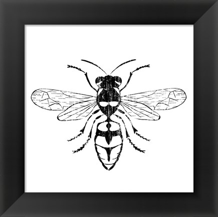 Framed Wasp Print