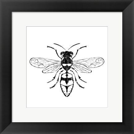 Framed Wasp Print