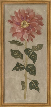 Framed Dahlia II Print