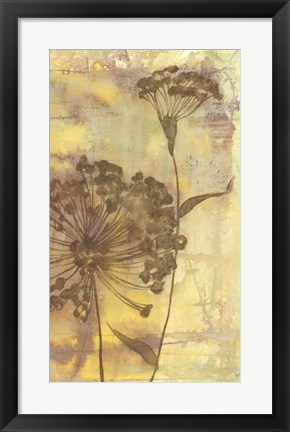 Framed Dandelion Dance II Print