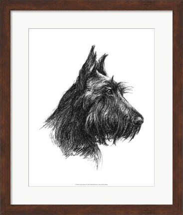 Framed Canine Study II Print