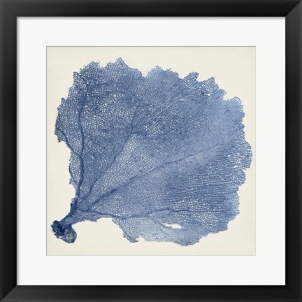 Framed Sea Fan V Print