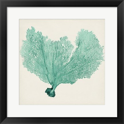 Framed Sea Fan VI Print