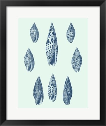 Framed Coastal Curio IX Print