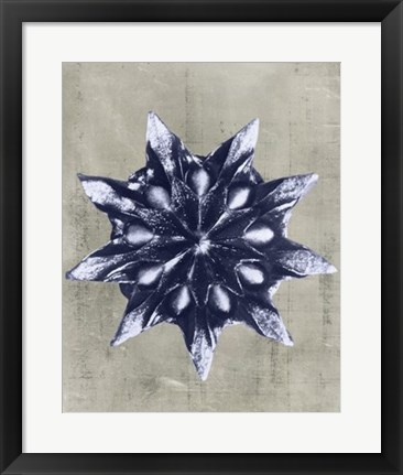 Framed Blossfeldt Redeux VI Print