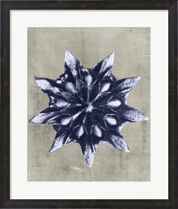 Framed Blossfeldt Redeux VI Print