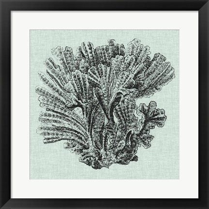 Framed Serene Coral I Print