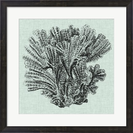 Framed Serene Coral I Print
