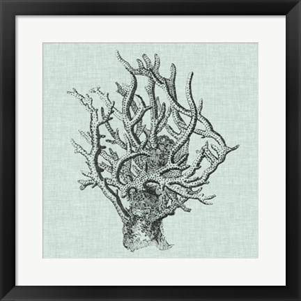 Framed Serene Coral II Print