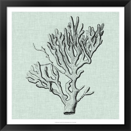 Framed Serene Coral III Print