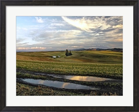 Framed Reflections Print