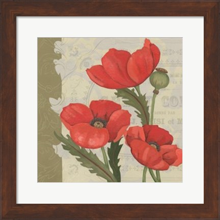 Framed Paris Poppy I Print