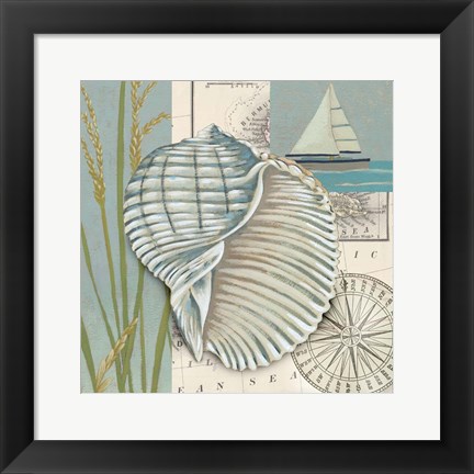 Framed Seaside Shell I Print