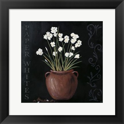 Framed Paper Whites Print